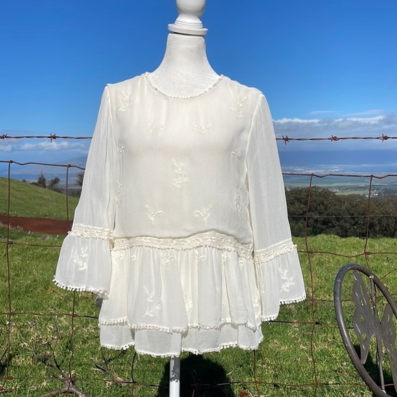Zara Tops - NWT ZARA Trf Collection Embroidered Lace Cottagecore Chiffon Blouse M
